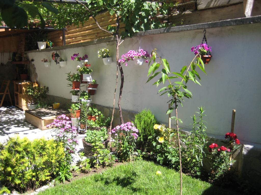 Aseva House Guest House Bansko Exterior photo