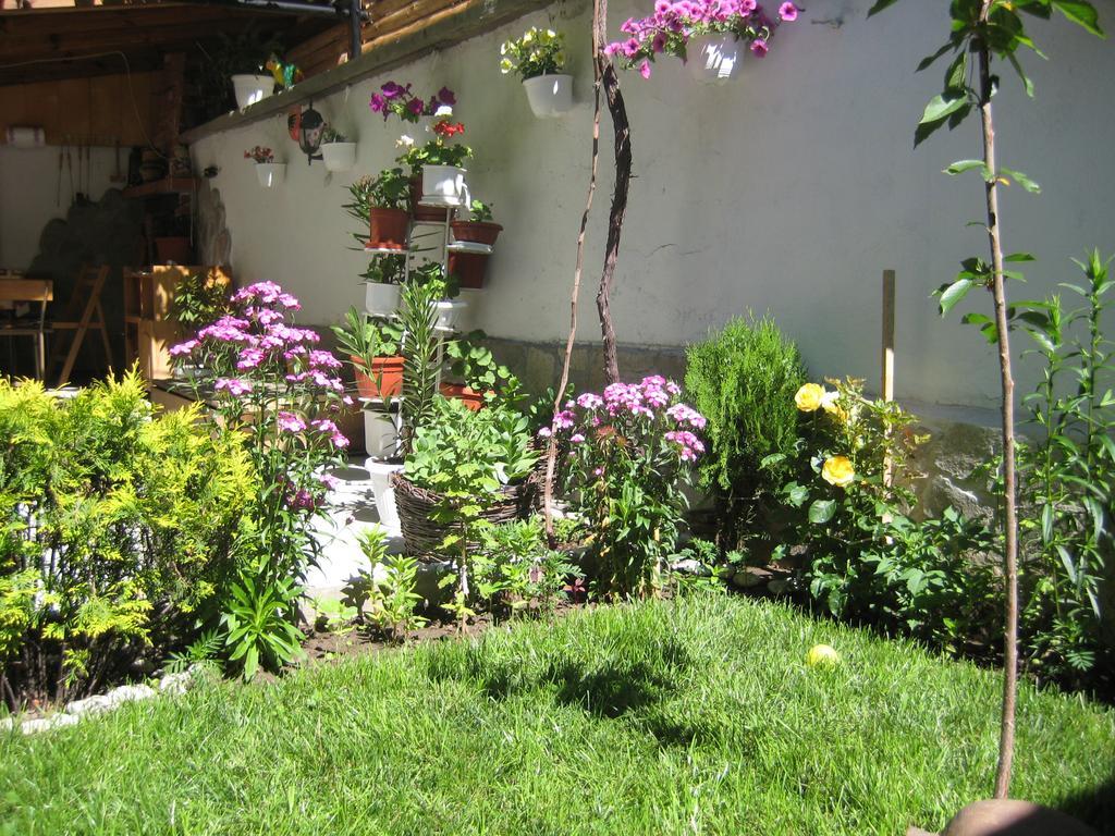 Aseva House Guest House Bansko Exterior photo