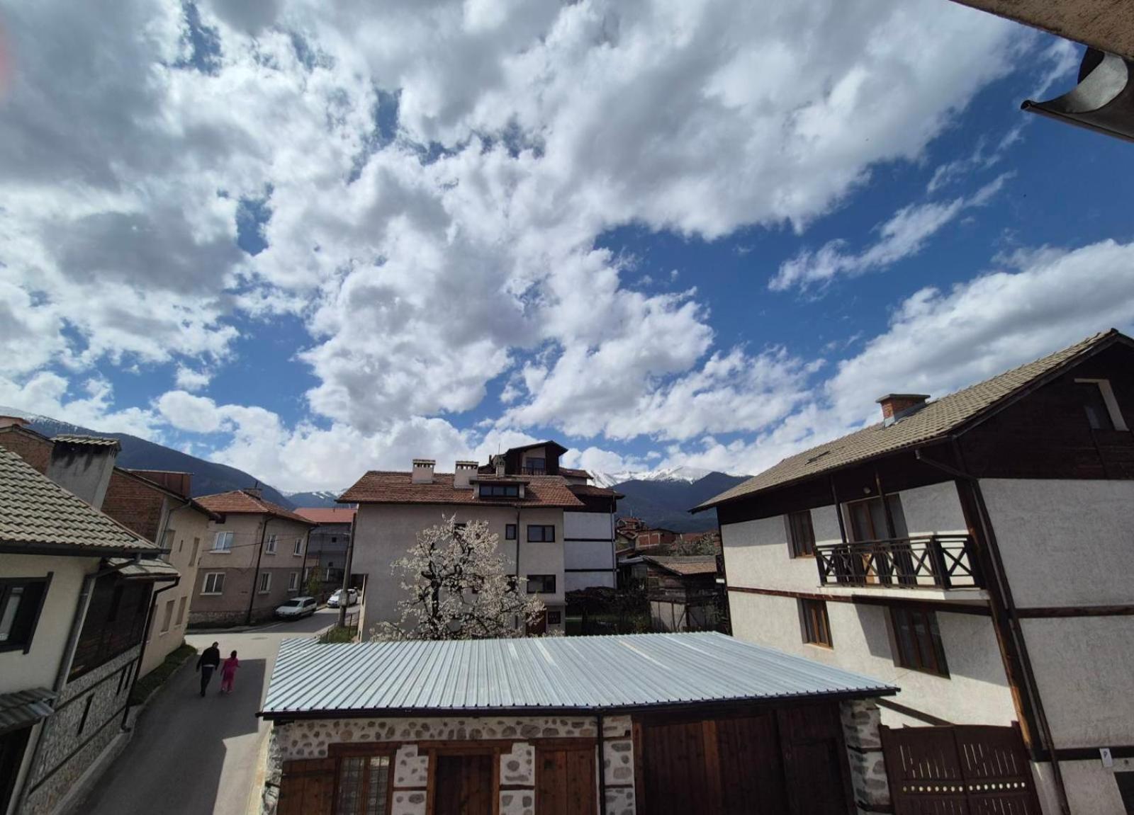Aseva House Guest House Bansko Exterior photo